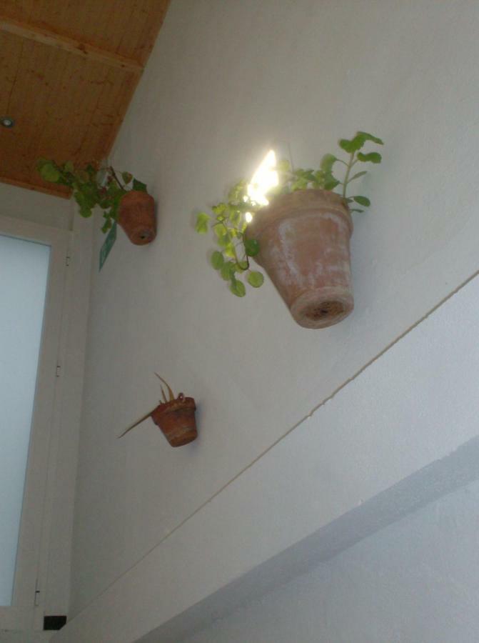 Rocio Rooms El Rocío Exteriör bild
